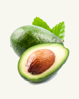avacado